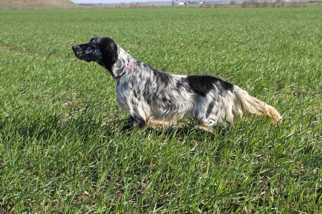 Du sentier des lutins - Field trial 2019